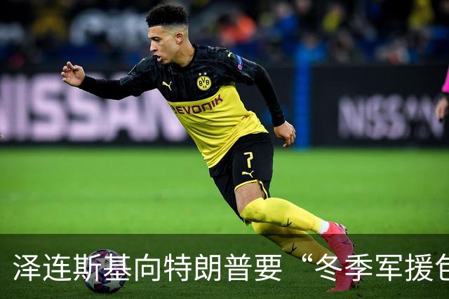 泽连斯基向特朗普要“冬季军援包”，预判特朗普将推动俄乌能源停火